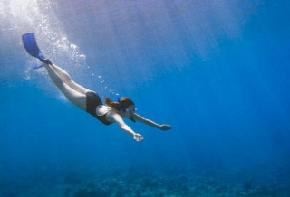 Snorkel en isla de venados